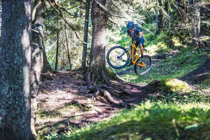   In den Waldgipfeln rund um Bichlbach schlummern Herausforderungen, die an Kanadas Northshore-Trails erinnern.