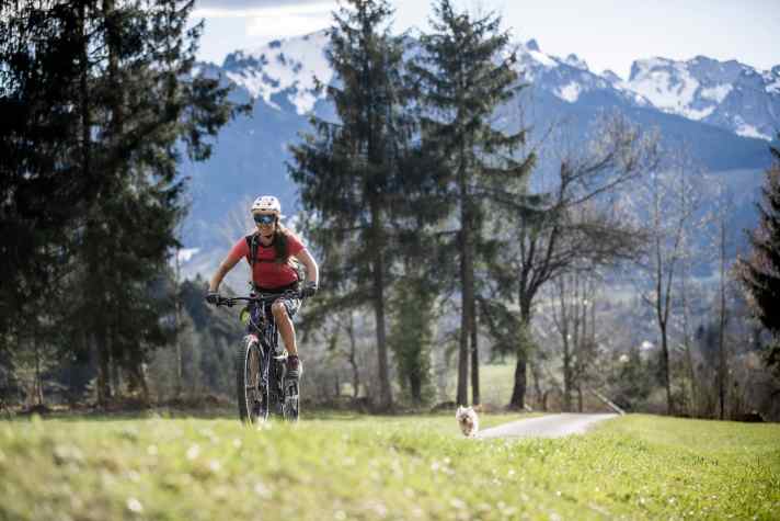 Bevor man später an seinem E-MTB Komponenten für teures Geld nachrüstet, lohnt es sich, lieber gleich etwas mehr Geld auf den Tisch zu legen.