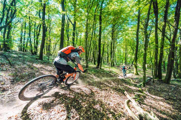   Schwarzwald, Würzburg, Hamburg – diese Super-Touren sind für Biker sogar ausgeschildert
