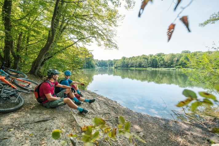   Rekultivierung: Kaum zu glauben, dass rund um die idyllischen Seen bei Neunkirchen einst der Steinkohlebergbau die Landschaft prägte.