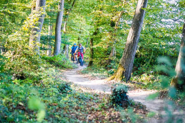   Supertrails nach tschechischem Vorbild: In Perl versüßen Anlieger, Kurven und kleine Drops die Trail-Touren im Waldmeer – Tour 5