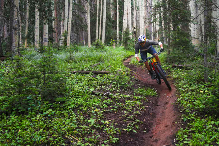   Gemäßigte Trails mit viel Flow sind das Revier des neuen Trek Top Fuel.