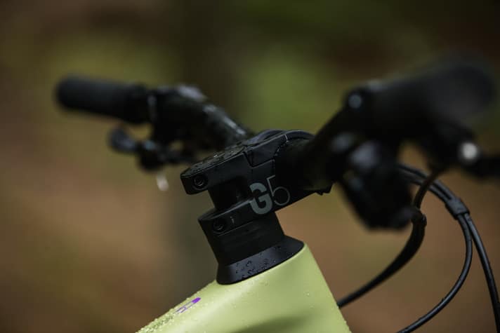   Sowohl der Rahmen als auch Anbauteile wie der hauseigene Vorbau wurden nach Downhill-Standards getestet.
