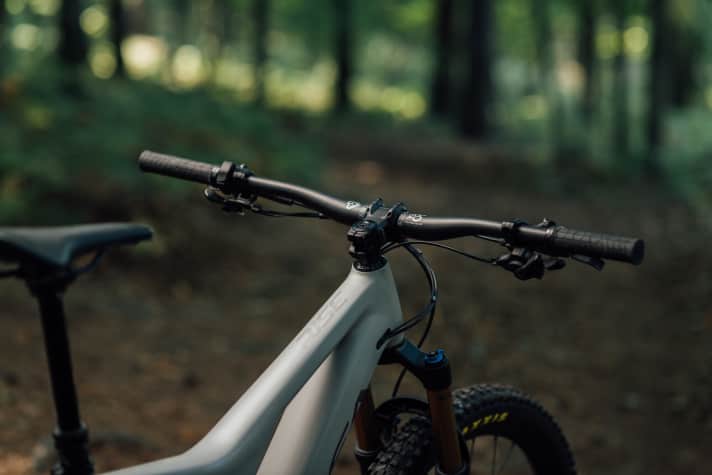 Das Cockpit fällt Rise-typisch sehr clean aus. Entweder mit schlankem Shimano-Display, oder – wie hier im Bild – nur mit der minimalistischen Drahtlos-Einheit.