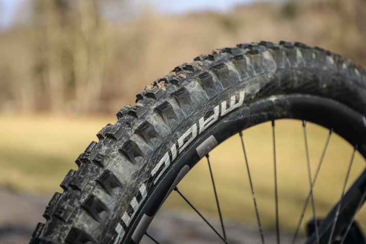   Der Schwalbe Magic Mary ist ein beliebter Vorderreifen. Am E-Inception zeigt sich, dass er im Gelände auch am Hinterrad hervorragend funktioniert.