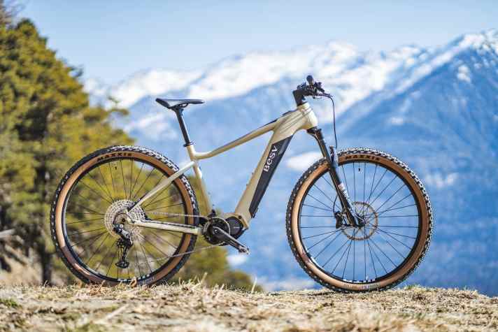   BESV TRX 1.3 – 3699 Euro I 120 mm I 23,4 kg I 29"