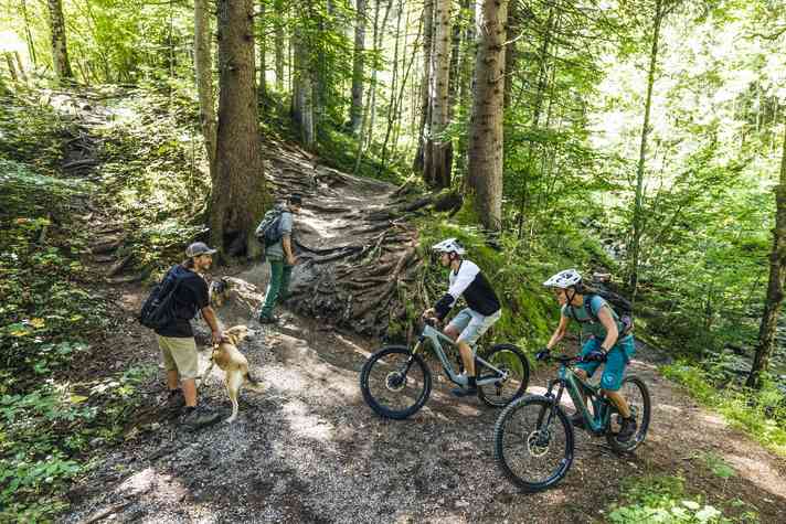 Den Blick zum Tretlager kennt wohl jeder Mountainbiker inzwischen gut. Bei den leisesten Light-Motoren können Wanderer leicht in Verwunderung geraten. Beim Forestal (rechts) ist die E-Bike-Geräuschkulisse aber unverkennbar.