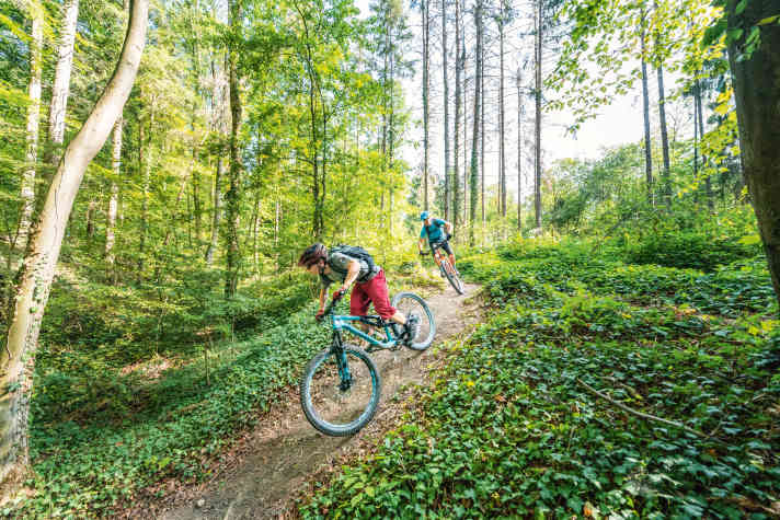 Die Mountainbike-Trails im Meeswald wurden den tschechischen Trailcentern nachempfunden, die zu den besten der Welt zählen.