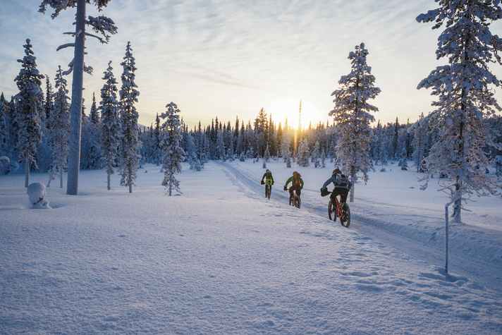 Fatbike-Expedition Lappland