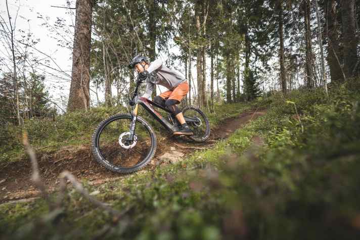 Auf flacheren Trails ist das Rotwild in seinem Element und glänzt mit spritzigem und leichtfüßigem Handling.