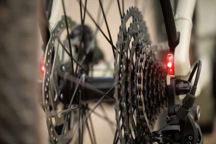 Schickes Detail: Die MonkeyLink Twinlights Rücklichter am Iconic EVO 1 sind in den Rahmen integriert.