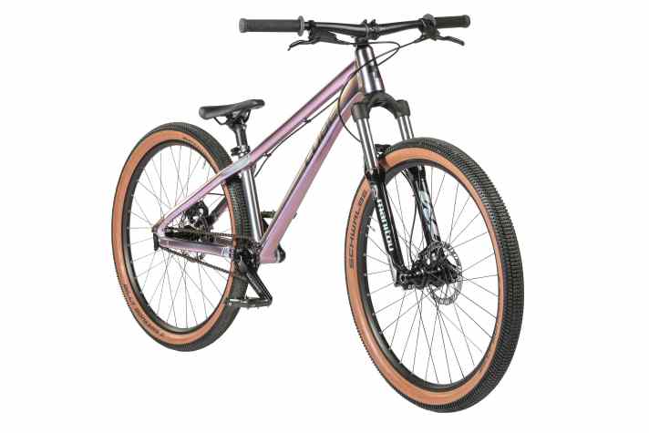 Das Flying Circus Dirtbike führt Cube bereits seit vielen Jahren im Programm.