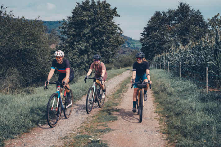 Die Strecken im Pfälzerwald sind abwechslungsreich: Waldwege, Feldwege, Singletrails ...