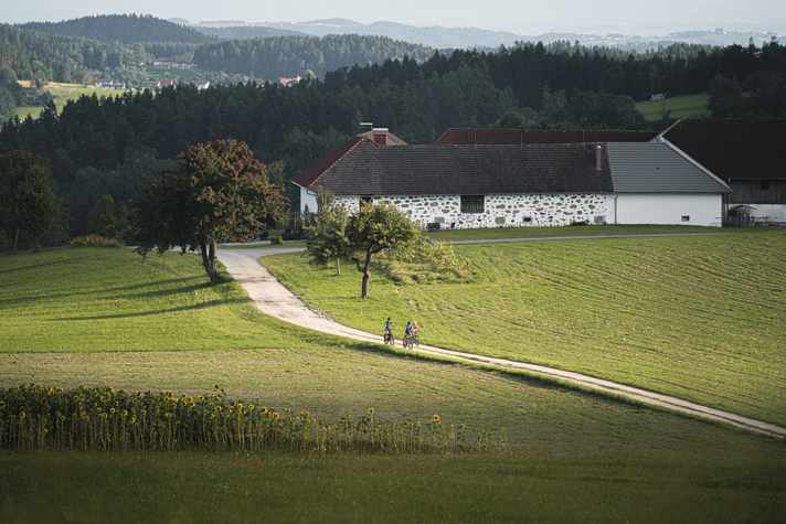 Die Fahrt auf der Bierradtour geht durchs idyllische Hügelland des Mühlviertels.