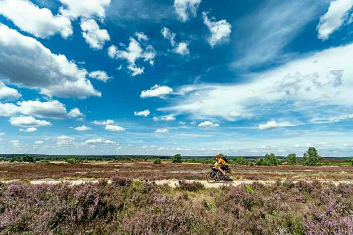 Ein Traum in Lila: den Naturpark Lüneburger Heide zur Blütezeit bei einer Radreise erleben.