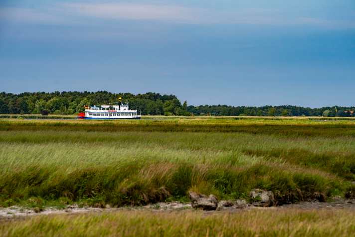Mit dem Schaufelraddampfer geht es durch die Boddenlandschaft zurück nach Zingst