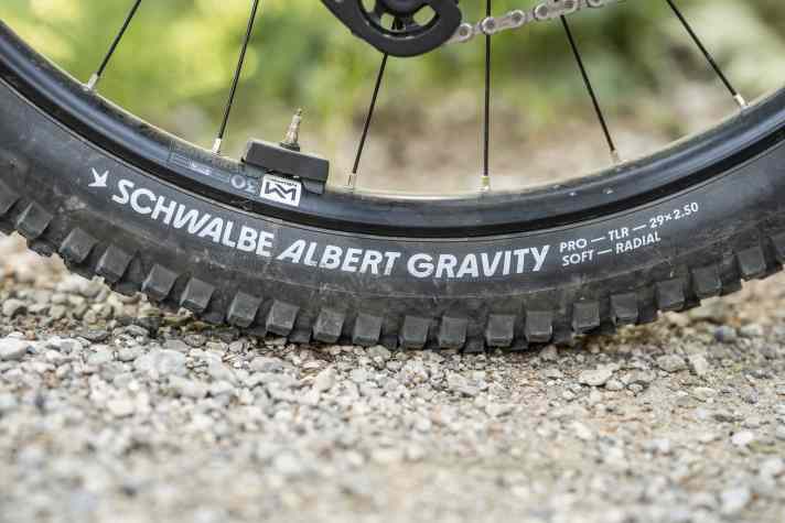 Schwer aber stabil - und griffig: Schwalbes Albert mit Gravity-Karkasse nach Radialprinzip ist ein traktionsstarker Begleiter für anspruchsvolle Trail-Ausflüge.