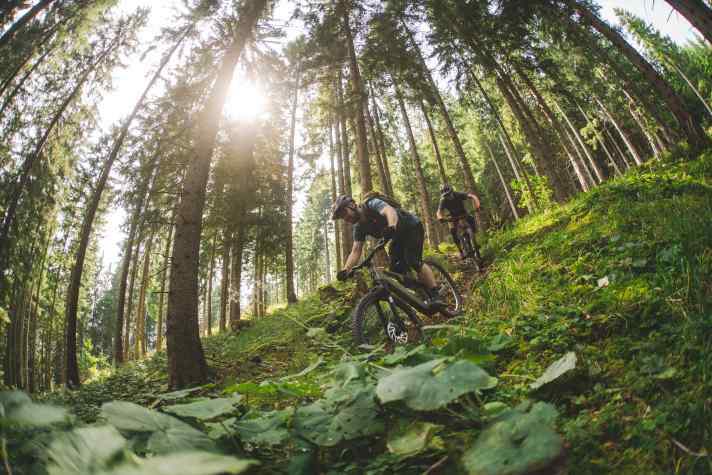 Mit griffigen Reifen, kompetentem Fahrwerk und gutem Cockpit schreckt das Rose auch vor ernstem Trail-Einsatz nicht zurück.