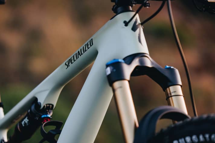 Am FACT 11M Carbon-Rahmen des Specialized Epic Evo 8 verlaufen die Züge durchs Steuerrohr ins Rahmeninnere.