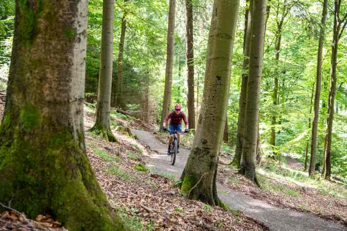 Green Trails Willingen  - Zweckverband Green Trails