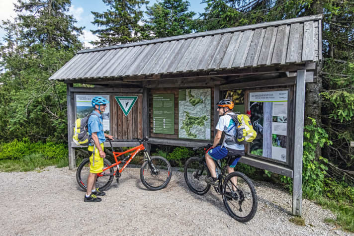 Legalize it: Mountainbiker können sich auch im Nationalpark Schwarzwald willkommen fühlen.