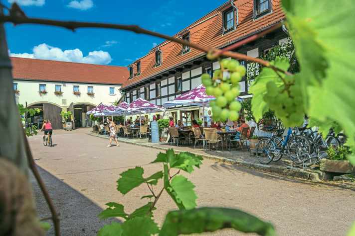 Einkehr-Tipp im Dresdner Elbland: Weingut Schuh in Sörnewitz