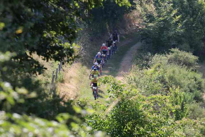 Nicht nur im alten Fokus bleiben, sondern über den Tellerrand schauen - dabei soll die Marathon Trophy den Sportlern helfen.