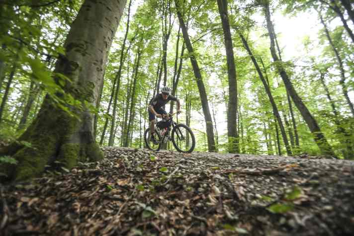 Singlespeed-Biken braucht Dynamik. Je länger der Tag, desto geringer die Verve. Hier in den Auwäldern am Isarufer scheint die Zeit zu stehen.