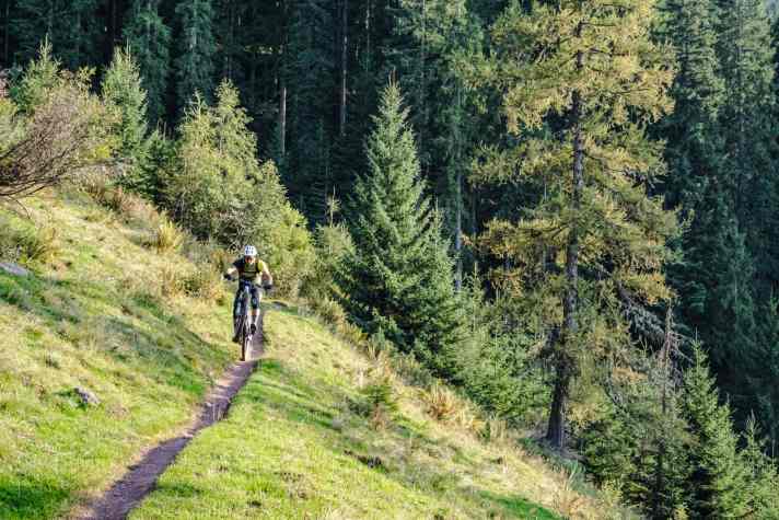Rollt am 29. Mai wieder seinen legendären, sieben Kilometer langen Teppich aus: der Fleckalm-Trail in Kirchberg.