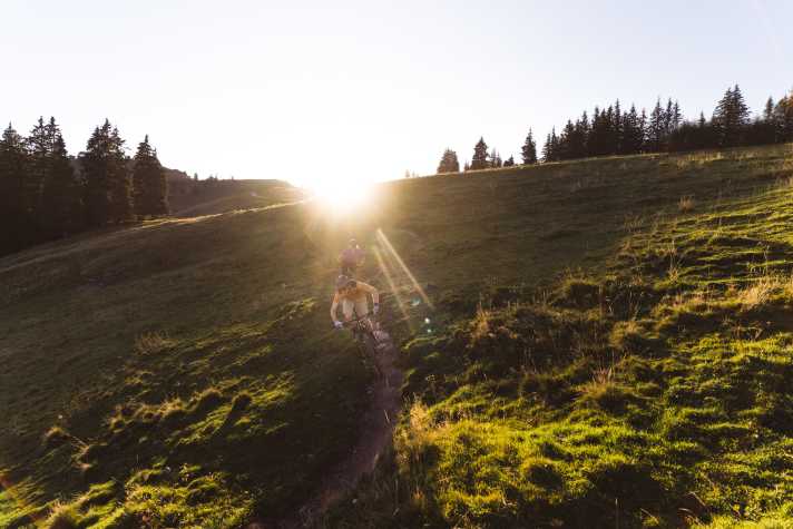 Egal, ob auf Schotterwegen oder zahmen Trails – bei den ersten Mountainbike-Versuchen sind sportliche Piloten mit dem Rockrider Race 720 bestens gerüstet. Wer aber vorhat, seriösen Geländeradsport zu betreiben, sollte von Anfang an in ein 
geländegängiges Trailhardtail investieren.