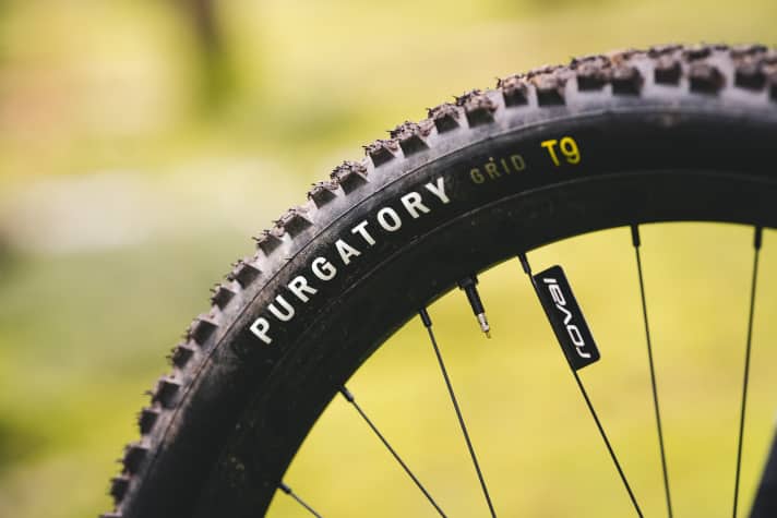 Der Specialized Purgatory leistet am Epic Evo Trailbike eine ausgezeichnete Führungsarbeit.