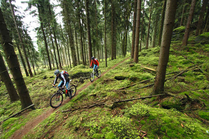 Trail auch bergauf: der Anstieg zur Hohen Matze.
