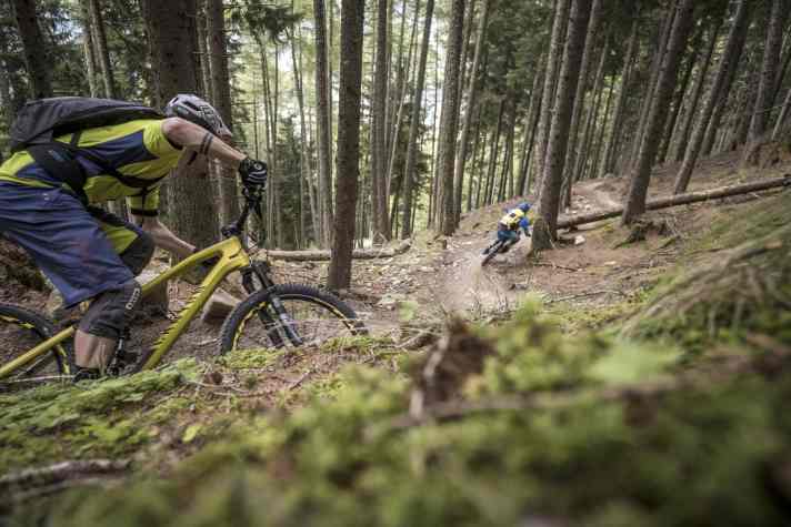 Nach hochalpin, felsig, rockgardig und wurzelig zweigt der Schartl-Trail noch in die flowigen Waldkurven des Holy-Hansen ab.