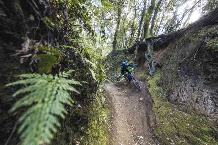 Kurvige Trail mit nicht allzu ruppigem Untergrund mag das Neuron:On CF besonders. Hier punktet das spritzige, ausgewogene Handling.