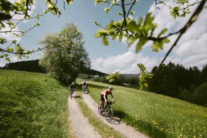 Auf den Schotterwegen rund um Baiersbronn lässt sich mit dem Gravelbike schnell Strecke machen