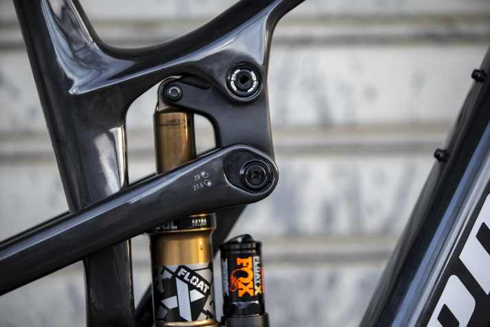 Über den Flipchip an der Umlenkung lässt sich die Geometrie auf 29er- oder Mullet-Setup mit kleinem Hinterrad anpassen.