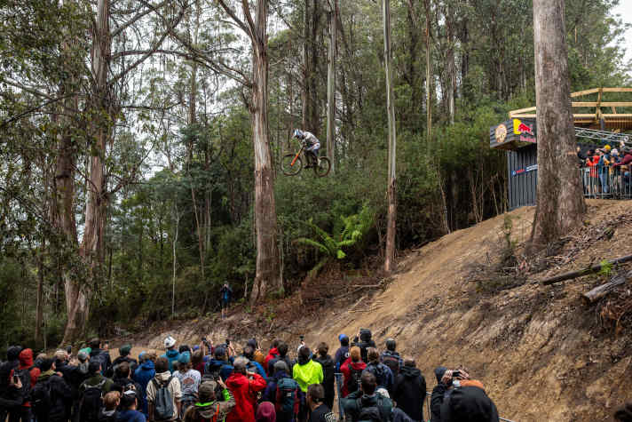 Bernard Kerr droppt mit seinem Pivot Phoenix in die Tiefe. Hier während der Red Bull Hardline  in Australien