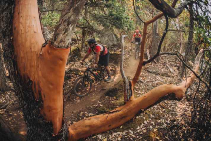 Der Mount Tzouhalem bietet etwas Gelegenheit zum Durchschnaufen - zumindest geht es mal bergab. Aber auch hier, in den schnellen Passagen, müssen die Fahrerinnen und Fahrer hellwach sein.