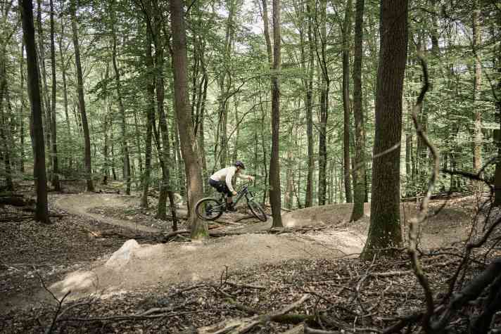Vor der Eröffnung des Trailparks prüft Max Mey die Airtime-Sektionen auf dem bereits fertigen Buchen-Bounce-Trail.