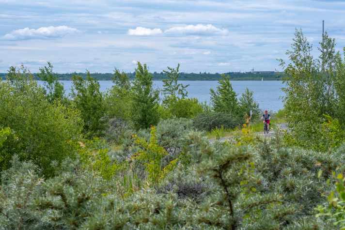 Radweg zwischen Cospudener und Zwenkauer See