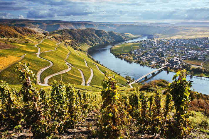 Auf den Radtouren durch die Weinregionen gilt: Erst die Aussicht genießen, dann den Wein.