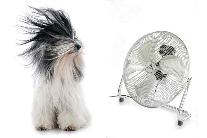 Ventilator Rollentraining Vergleichstest