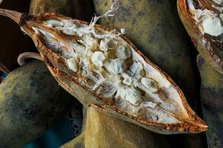 Baobab, Superfood aus Afrika