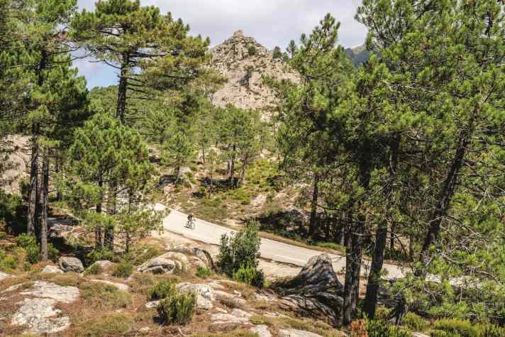 Lange Steigung: Hinter dem Bergdorf Zonza beginnt der Anstieg zum Col de Bavella (Tour 4)