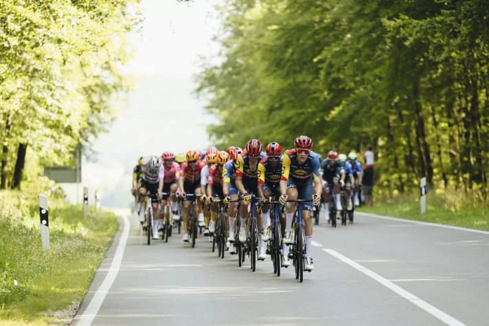 Formationsflug: Das Team Lidl-Trek kontrollierte das Rennen fast durchgängig von der Spitze aus.