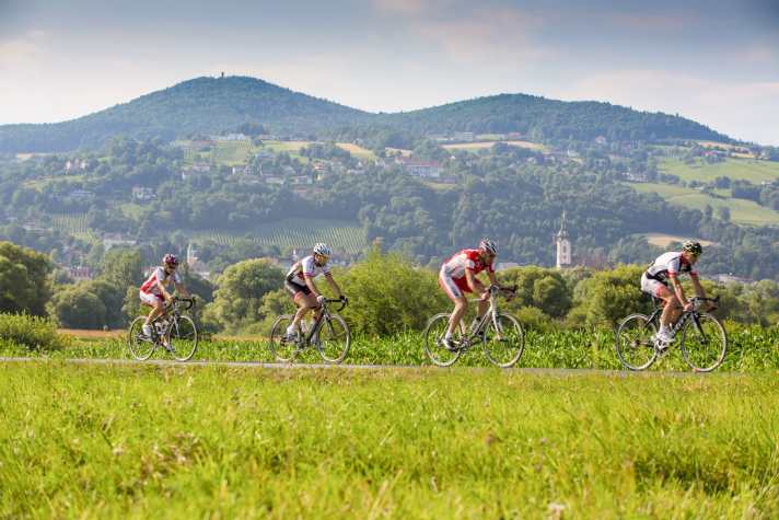 tour/radfahren-ringkogel-oststeiermark-tourismus-bernhard-bergmann_81c24009207ac46efa9ecf4145de3317