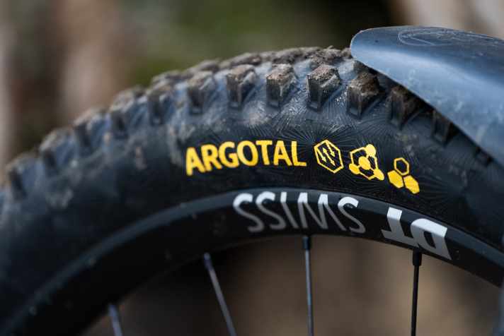 Auch den Argotal, der mit seinem offenen Profil eher auf weicheren Böden glänzt, gibt es mit der neuen Kombi aus Enduro-Karkasse und Supersoft-Gummi.