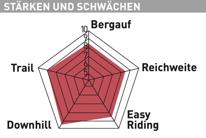 Santa Cruz Heckler S MX- Testdiagramm