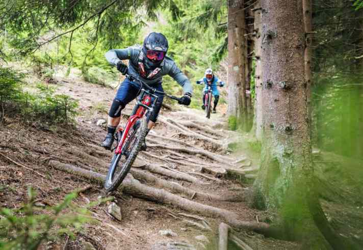   Der Eindruck täuscht! Was auf dem Foto zahm aussieht, kann bei Highspeed tückisch sein: hängende Wurzeln auf dem DH-Track in Todtnau. Gut, dass wir auf 29-Zoll-Bikes sitzen!