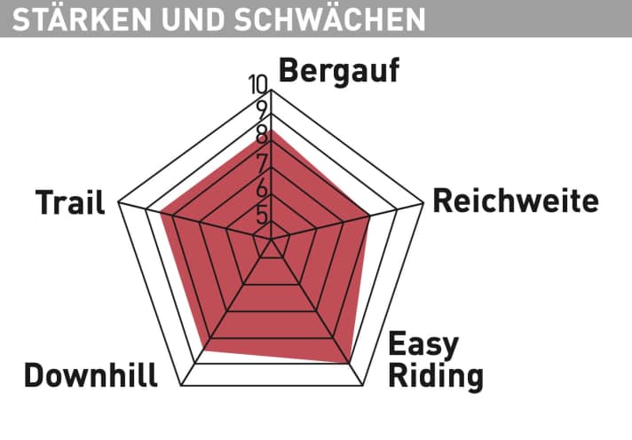 YT Industries Decoy 29 Core 4 - Testdiagramm